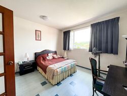 Binjai Park (D21), Semi-Detached #505020431